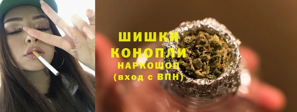 ECSTASY Белокуриха