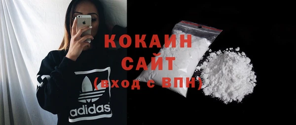 ECSTASY Белокуриха