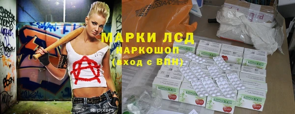 ECSTASY Белокуриха
