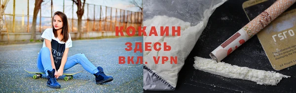 ECSTASY Белокуриха