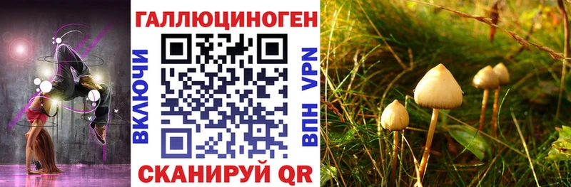 MEGA ССЫЛКА  Белая Калитва  Псилоцибиновые грибы Psilocybine cubensis 
